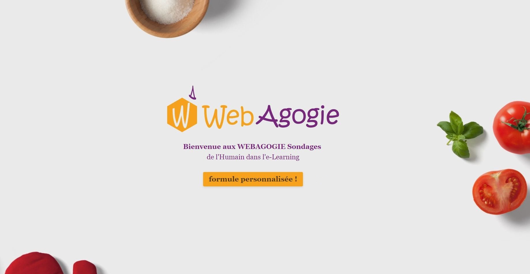 WEBAGOGIE_Sondage_vidéos